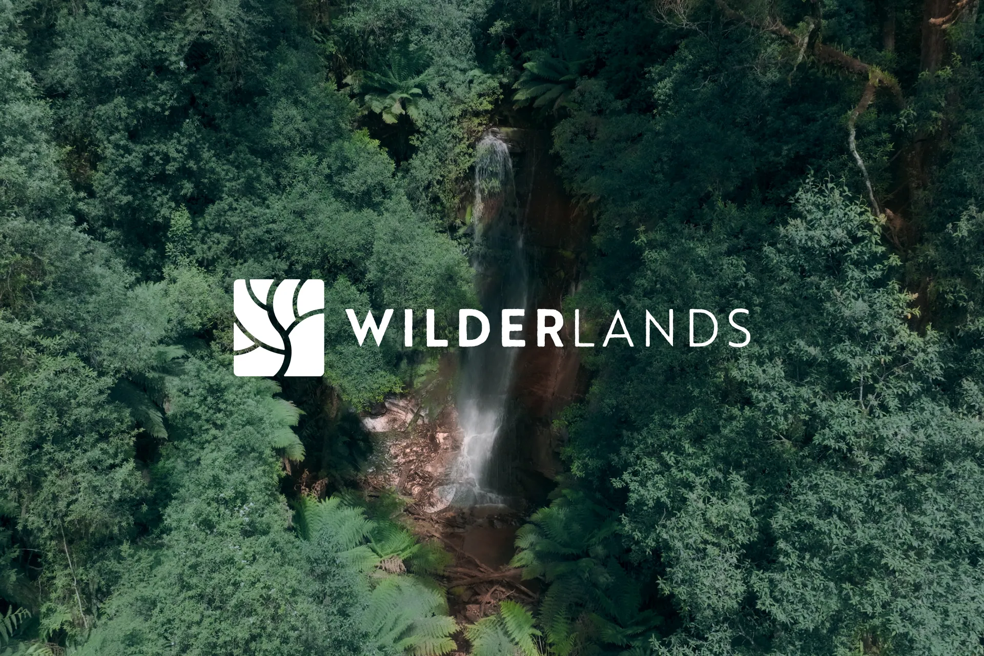 Wilderlands — brand and website for biodiversity protection